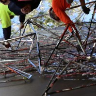 NewLife Darling Harbour Memory Tree artwork installation complete